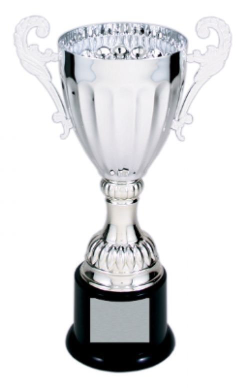Completed Metal Cup Trophy  132274