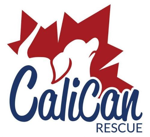 Raya Ring for Calican Rescue 130942