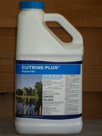 Cutrine Plus Gallon 75068