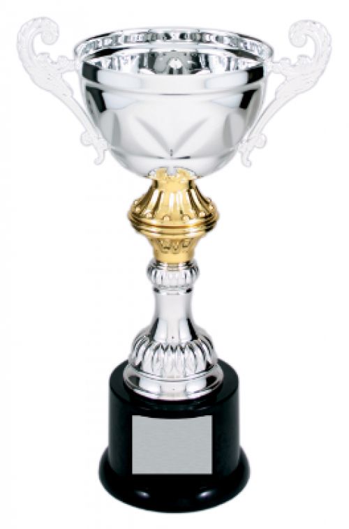 Gold/Silver Completed Metal Cup Trophy  134936
